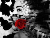 /album/fotogaleria/flor-jpg/