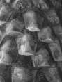 /album/fotogaleria1/dsc01092-jpg/